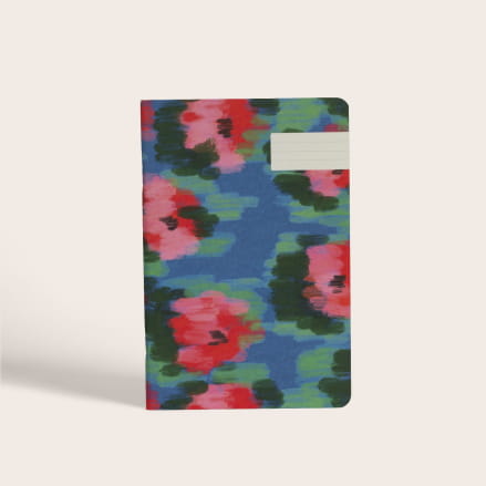 Carmen notebook