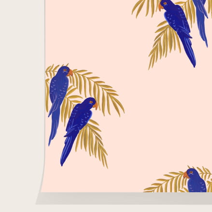 Parrots wallpaper