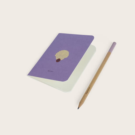 Ariel mini pocket book