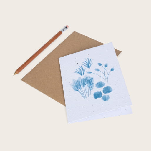 Embruns growing card