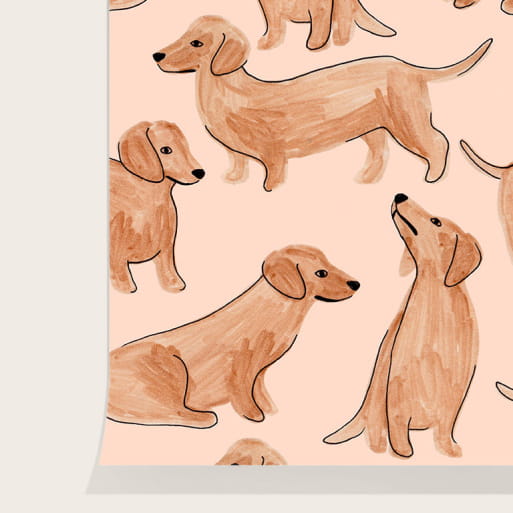 Papier peint teckels