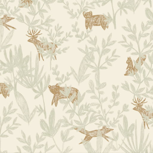 Cache cache lichen sample