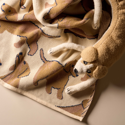 Le petit teckel blanket