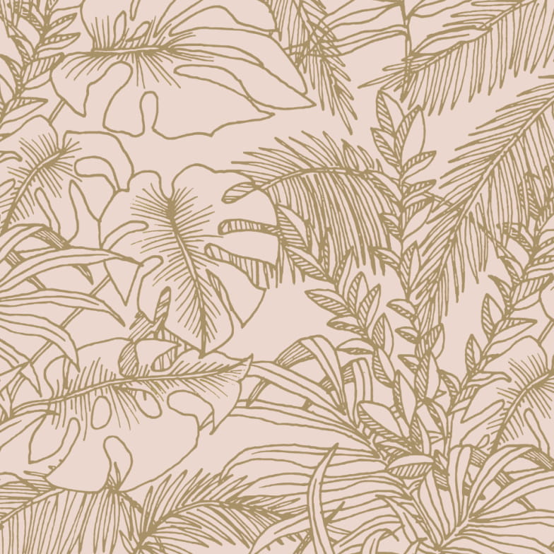 Échantillon abondance olive