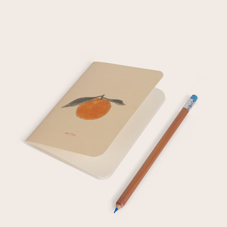 Clémentine mini pocket book