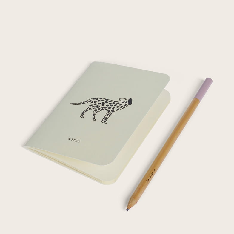 Dalmatien mini pocket book