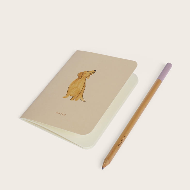 Teckels mini pocket book