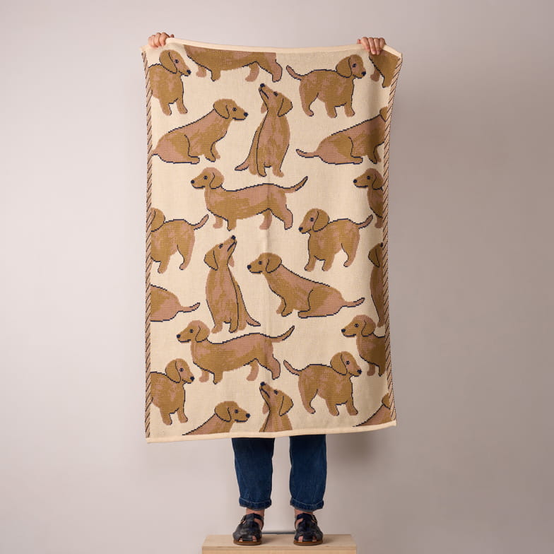 Plaid Le petit teckel