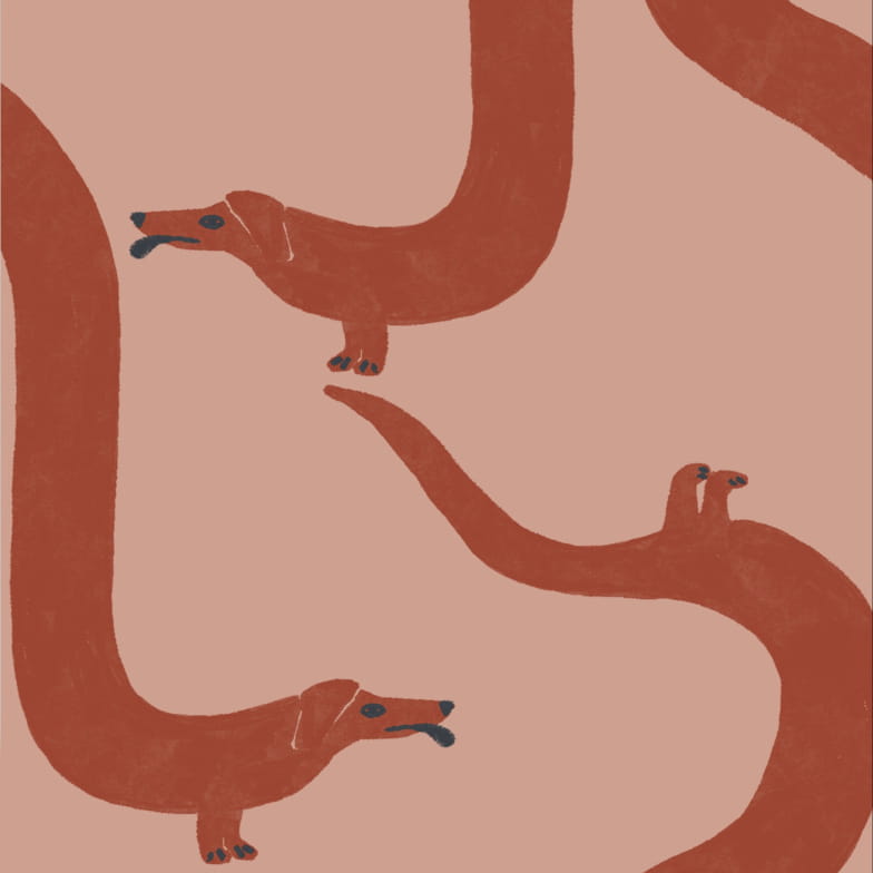 Échantillon Acrobatic terre