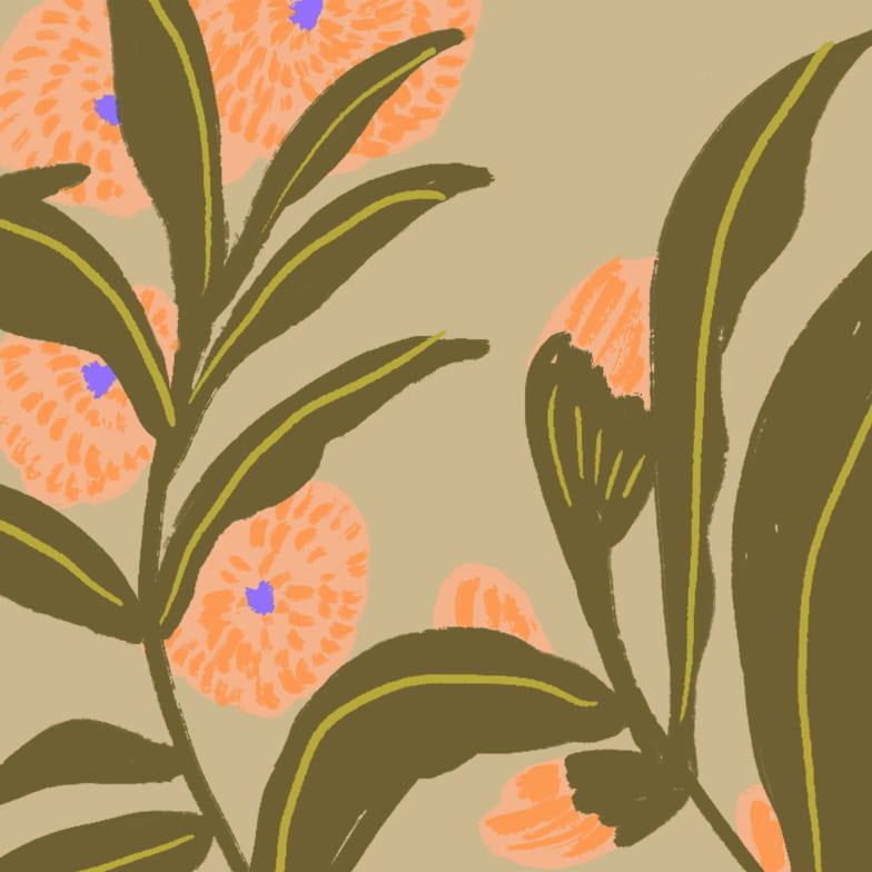 Garden argile sample