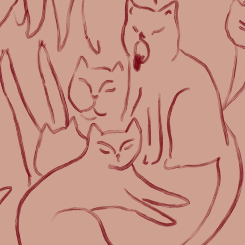 Paresse terre sample