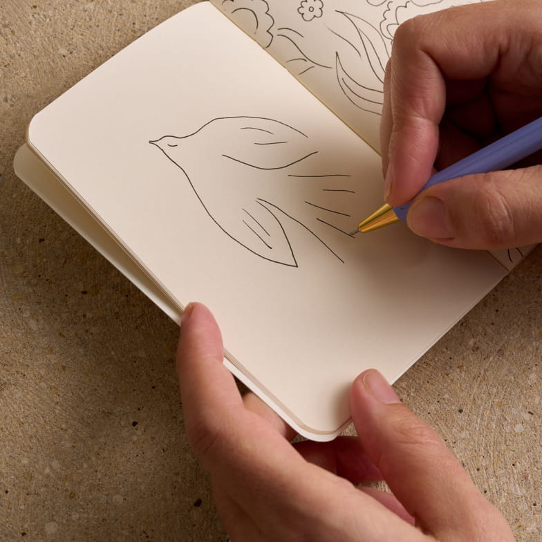 Aube mini pocket book