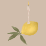 Lemon birthday card